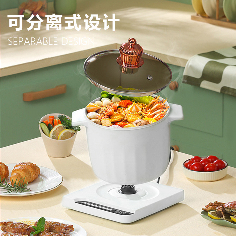 MULTIFUNCTIONAL ELECTRIC POT