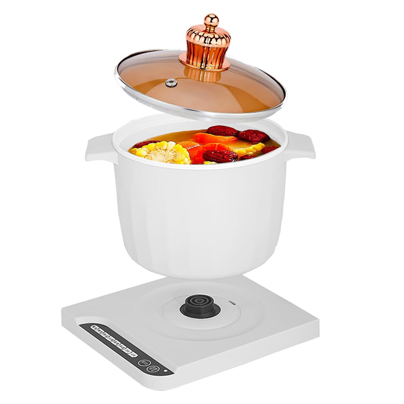 MULTIFUNCTIONAL ELECTRIC POT