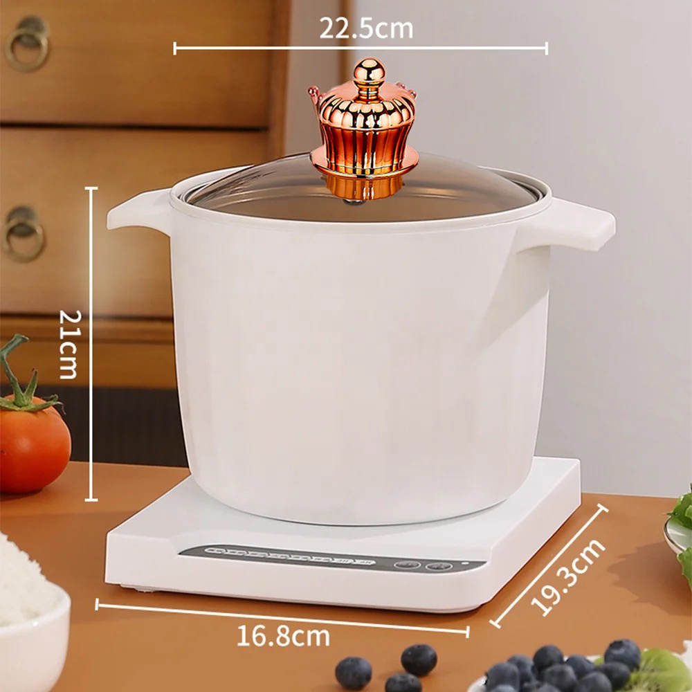 MULTIFUNCTIONAL ELECTRIC POT