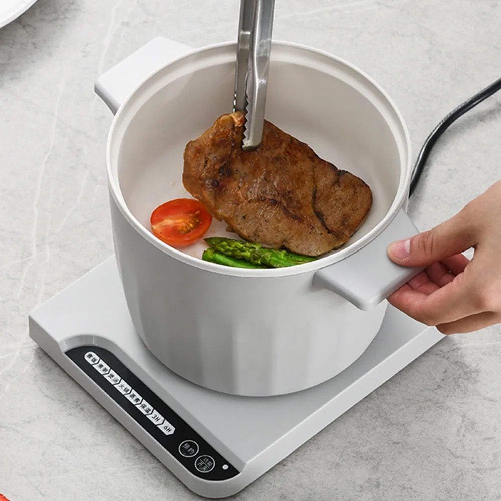 MULTIFUNCTIONAL ELECTRIC POT